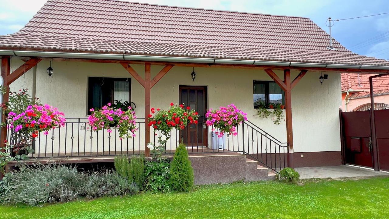 Вилла Siebenbuerger Haus Сибиу Экстерьер фото