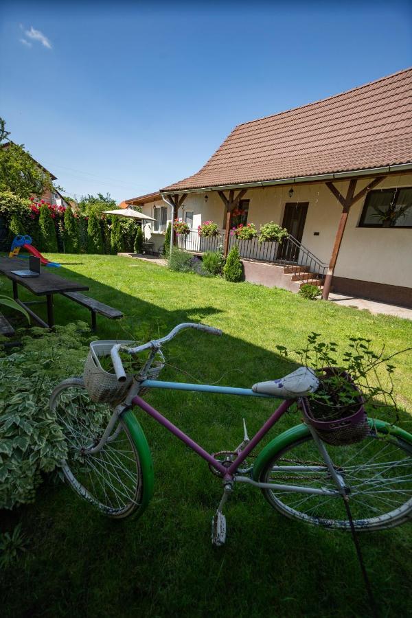 Вилла Siebenbuerger Haus Сибиу Экстерьер фото